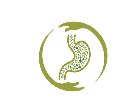 stomach icon vector illustration design templateのイラスト素材