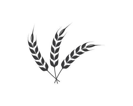 Agriculture wheat Logo Template vector icon designのイラスト素材
