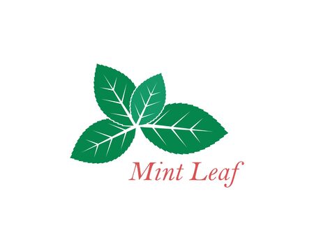 mint leaf illustration vector template designのイラスト素材