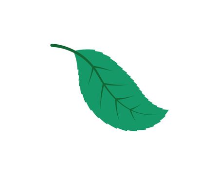 green leaf ecology nature element vector icon of go green designのイラスト素材