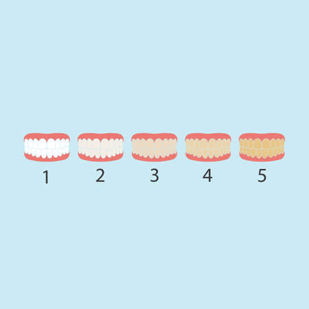 tooth color level vector illustration designのイラスト素材