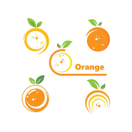 orange fruit  vector  illustration concept  design templateのイラスト素材