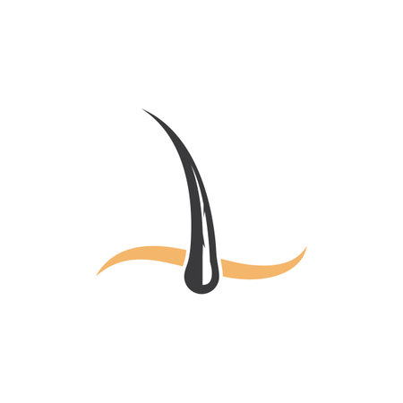 hair root icon vector illustration design templateのイラスト素材