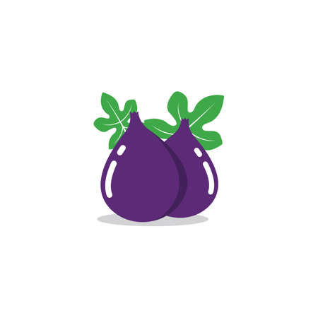 ficus carica or figs fruit icon vector illustration design template webのイラスト素材
