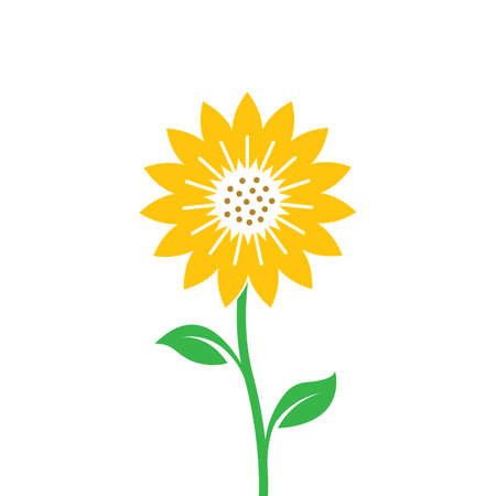 sunflower vector illustration concept design webのイラスト素材