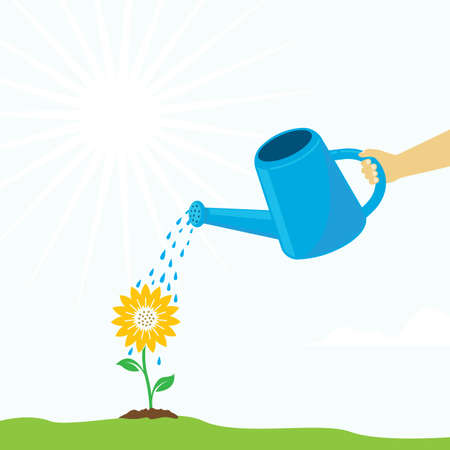 watering sunflower plant in the garden vector background illustration concept design templateのイラスト素材