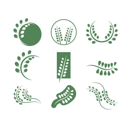 moringa leaf icon vector illustration design template webのイラスト素材