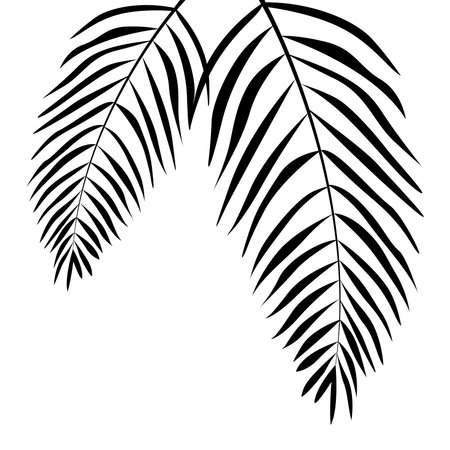 decorative coconut leaf element vector design template webのイラスト素材
