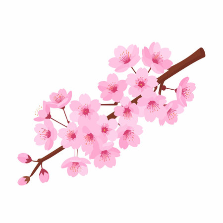 Sakura branch blossoms in a soft pink palette depicted as a vector illustrationのイラスト素材
