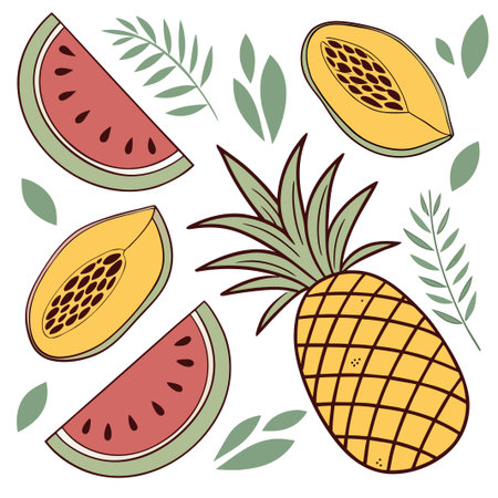 Tropical fruit pineapple, watermelon, papaya with leaves on white backgroundのイラスト素材
