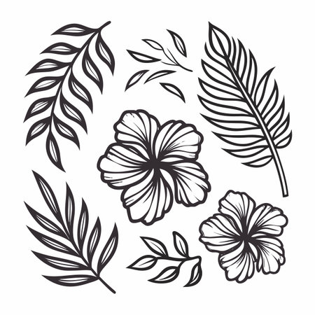 Floral illustration outlined flowers and leafy frondsのイラスト素材