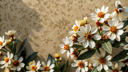 White flowers with a bee on a textured beige background.の素材