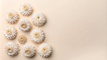 White Flowers on Beige Background.の素材