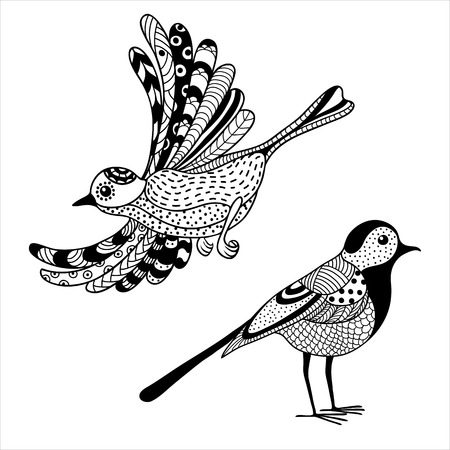 Black and white vector illustration: two ornate birdsのイラスト素材
