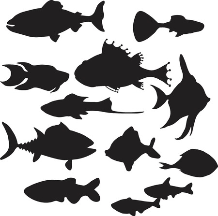Set of silhouettes of fishesのイラスト素材