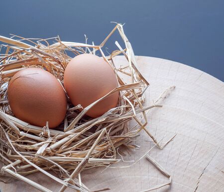 The eggs in the nest made of rice straw and morning sunlight. Concept of organic farm and food for health. copy space for textの写真素材