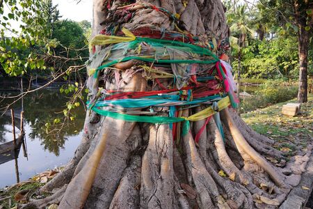 Seven colored sacred cloth tied around a big tree in nature park for good healthの写真素材