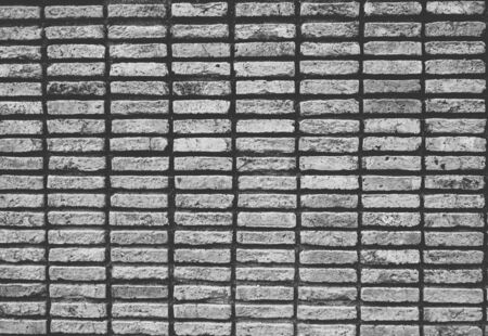 black and white picture style with brick wall textured background