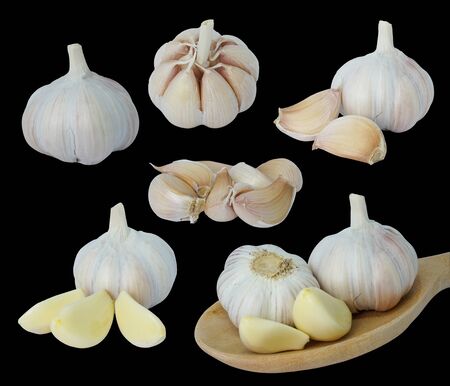 Collection of Garlic. Garlic bulb and cloves. Garlic isolated on black background. with Clipping Pathの写真素材
