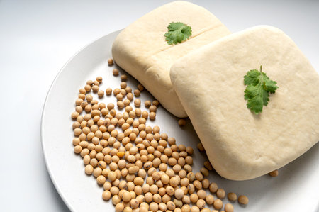 Whole fresh tofu and  soy bean. full depth of field. vegan food concept. Healthy eatingの写真素材