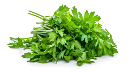 Parsley isolated on white background.  Healthy foodの写真素材