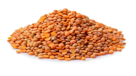 lentils isolated on white background. pile of lentils.