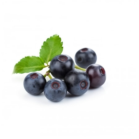Blueberries isolated on white background. Bilberry with green leaves.の素材
