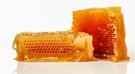 Honeycombs on a white background. Close-up.の素材