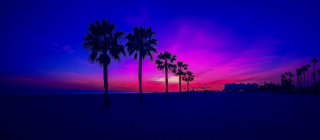 Vibrant sunset over a beach with palm trees creating silhouettes against a colorful skyの素材