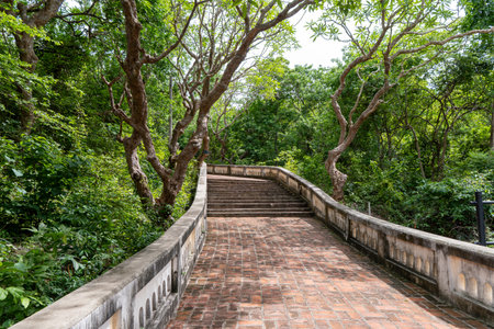 Beautiful stone pathway winding through lush green trees in a serene park during daylight hours