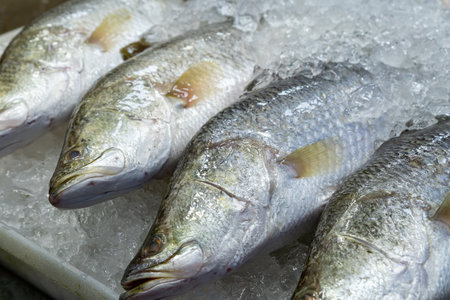 Freshly caught fish displayed on ice at a local market in the morningの写真素材