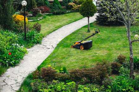 Lawn mower in the garden. Lawn mowing in the garden. Lawn mower in the garden with trees and flowersの写真素材