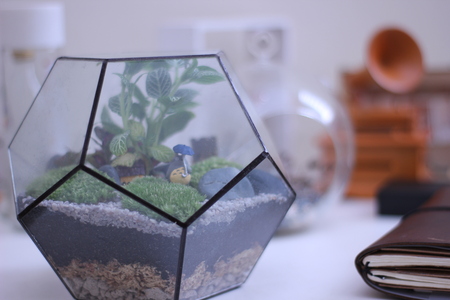 terrariumの写真素材