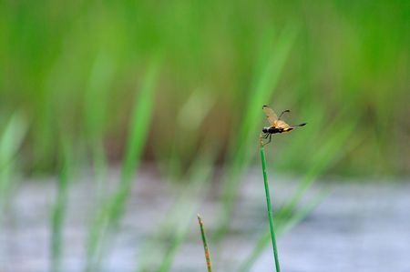 Resort living の写真素材