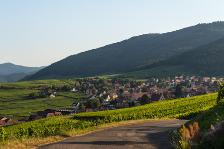 slopes in Switzerlandの写真素材