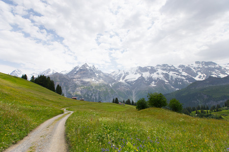 Hiking area in Murrenの写真素材