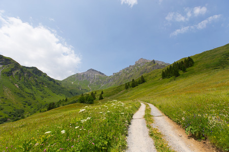 Hiking area in Murrenの写真素材