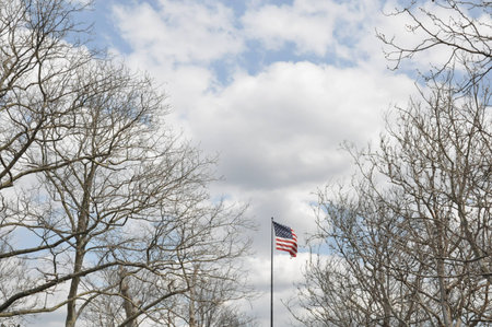 american flag with cloudy background and treeの写真素材