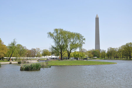 Washington Monument in the center of Washington DCの写真素材
