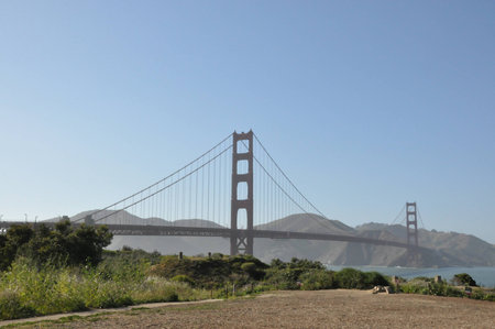 spring time in San Franciscoの写真素材