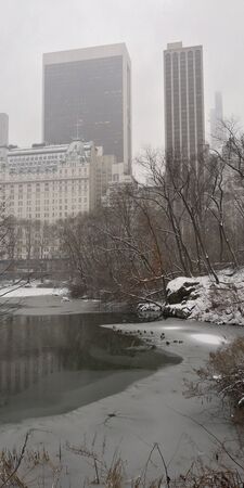 central park winter timeの写真素材