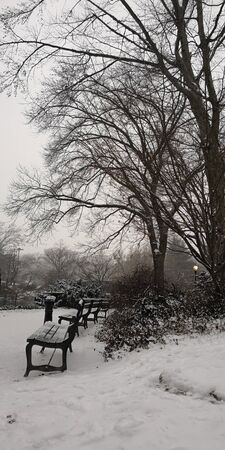 central park winter season, lonely chairの写真素材