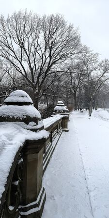 winter season panaroma bridge viewの写真素材
