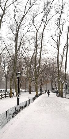 central park new york city panaroma winter seasonの写真素材