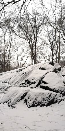 central park winter season snowingの写真素材