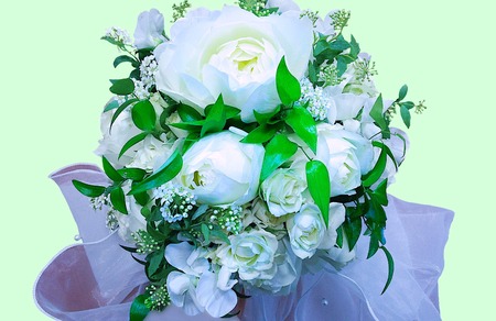 flowerの写真素材