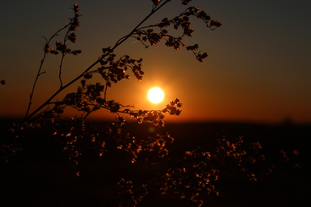sunsetの写真素材