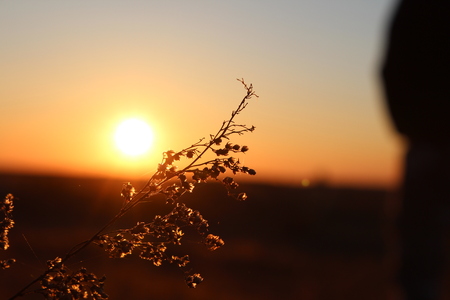 sunsetの写真素材