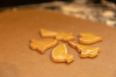 Christmas cake in Alsaceの写真素材