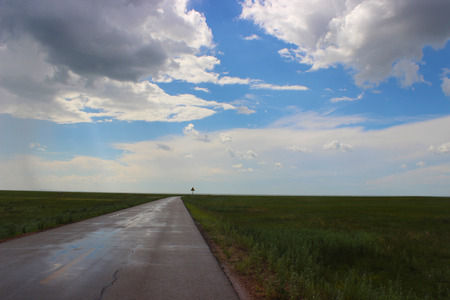 grasslandの写真素材